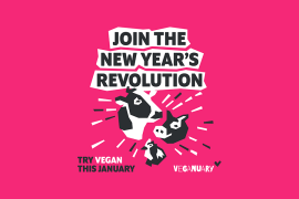 Imagem da notícia Veganuary: Dê um Novo Significado ao Seu Ano Novo